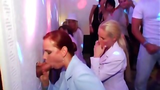 Bitches Enjoy Fellating Anonymous Jizz-shotguns Thru Walls