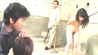 Gigantic culo Chinese femmes ravaged Domination & submission fashion
