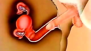 woman's impregnation