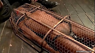 Hot ebony slave slut is shackled in back bend device bondage and gets whipped then in small metal cage gets intense pussy vibrated by master